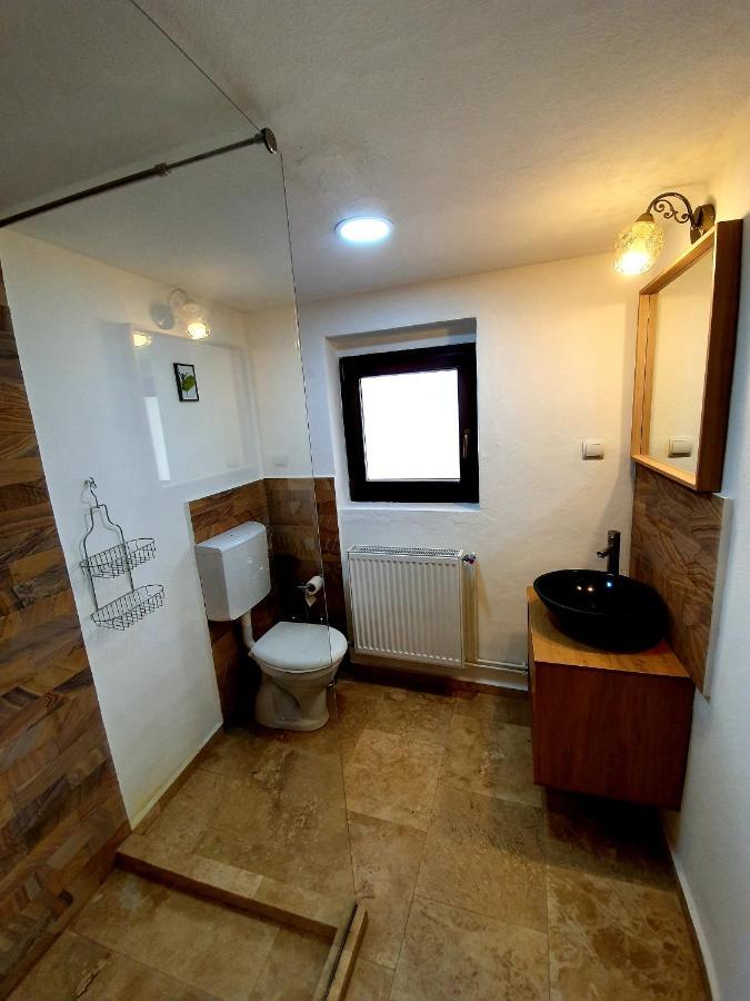 Maximus Apartments Sighisoara Ngoại thất bức ảnh